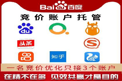 百度SEO与广告结合的多元化推广策略——多行业成功案例